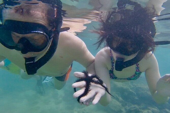 Guided Snorkel Tour for Beginners in Honolulu - The reef swim: what you’ll see and how the guide helps
