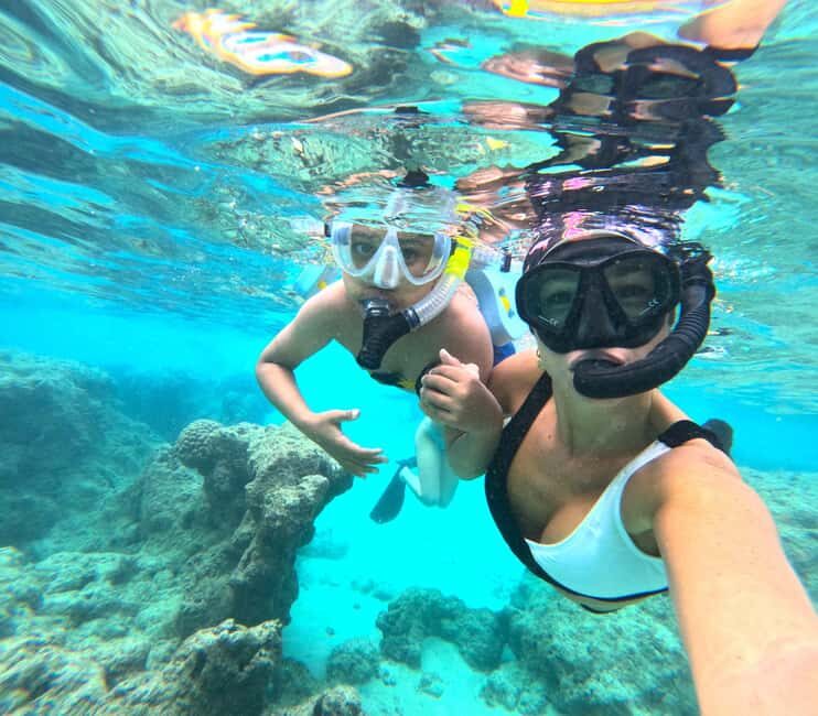 Hanauma Bay Guided Snorkel Tour with guaranteed entrance - Turtle-spotting and reef fish: what your guide helps you notice
