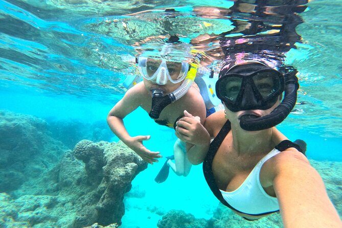 Hanauma Bay Guided Snorkel Tour (with guaranteed entrance time) - Stop 1: Hanauma Bay Nature Preserve and the turtle-and-reef mission