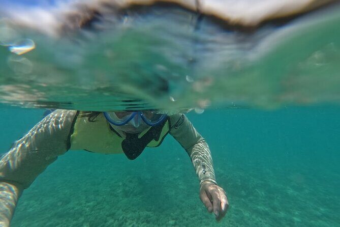 Hanauma Bay Guided Snorkeling Tour with Transportation - What you’re really paying for