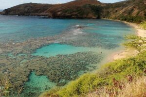 Hanauma Bay Snorkeling - What Happens After You Arrive at Hanauma Bay