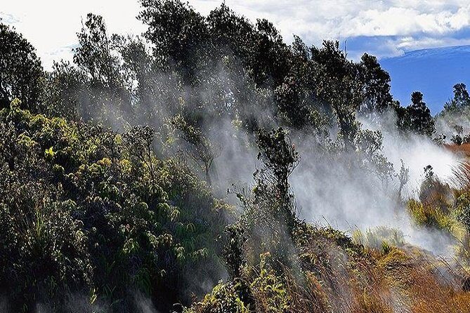 Hawaii Volcanoes National Park Experience Departing from Oahu - Greenwell Farms on Mauna Loa Slopes: Coffee That Explains the Land