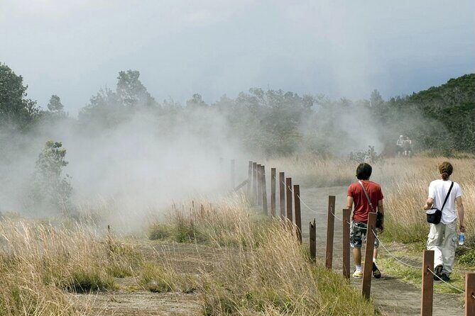 Hawaii Volcanoes National Park Experience From the Big Island - From Kona pickup to a full day loop: how this tour really feels