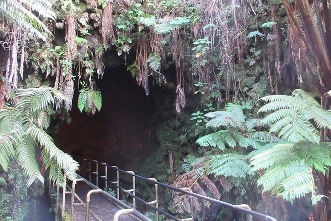 Hawaii Volcanoes National Park Experience From the Big Island - Greenwell Farms: Kona coffee history on the slopes of Mauna Loa