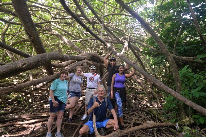 Hawaiian Waterfall Hike - Rainforest Wake-Up: Why the Morning Start Works