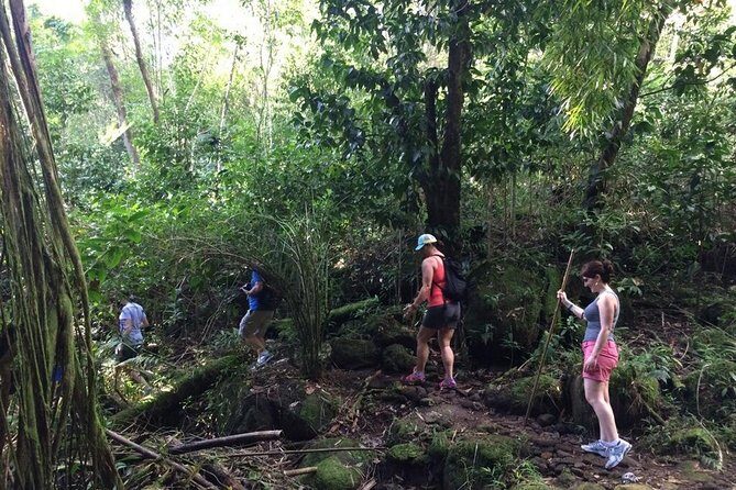 Hawaiian Waterfall Hike - Waterfall Expectations: Rain, Dry Periods, and the “Plan B” Mindset