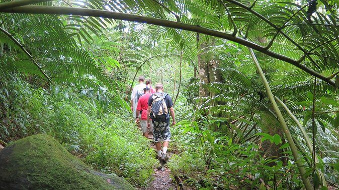 Hawaiian Waterfall Hike - Rain, Mosquitoes, and What to Pack (Even With Supplies Included)