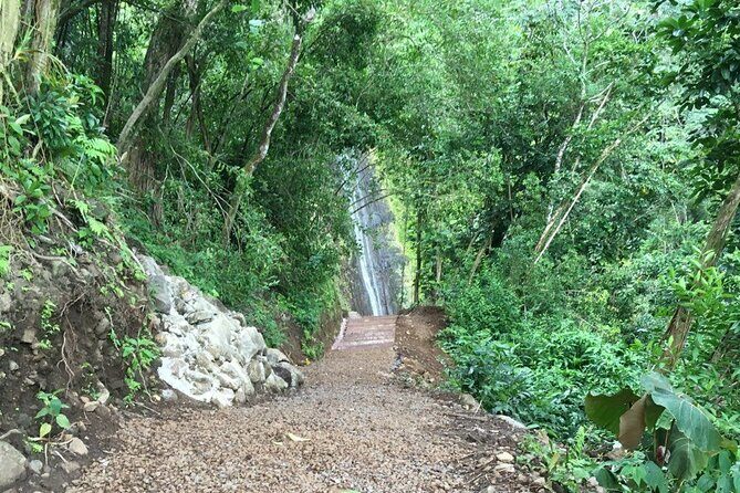 Hawaiian Waterfall Hike - Price and Value: Is $101.41 Worth It for 2 Hours?