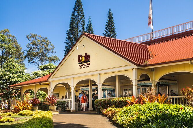 Hidden Gems of Oahu Circle Island Tour with Byodo-In Temple - Turtle spotting: how to plan for wildlife without stress