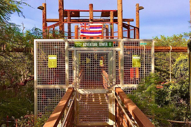 High Ropes Adventure Course at Coral Crater - Safety harness confidence: how you stay secure while you focus