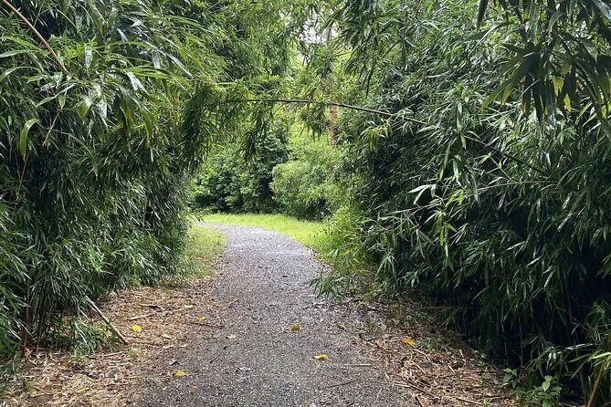 Hike to a Tropical Waterfall - pick up included - Why This Honolulu Waterfall Hike Is Good Value at $105