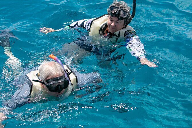 Hilton Hawaiian Village Turtle Snorkel with Optional Lunch - Optional lunch on morning tours: how it fits the 2.5-hour plan