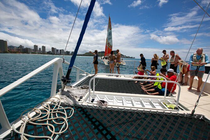 Hilton Hawaiian Village Turtle Snorkel with Optional Lunch - Whale season reality: December through March