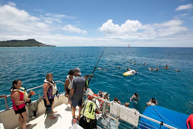 Hilton Hawaiian Village Turtle Snorkel with Optional Lunch - Group size, vibe, and whether this feels right for you