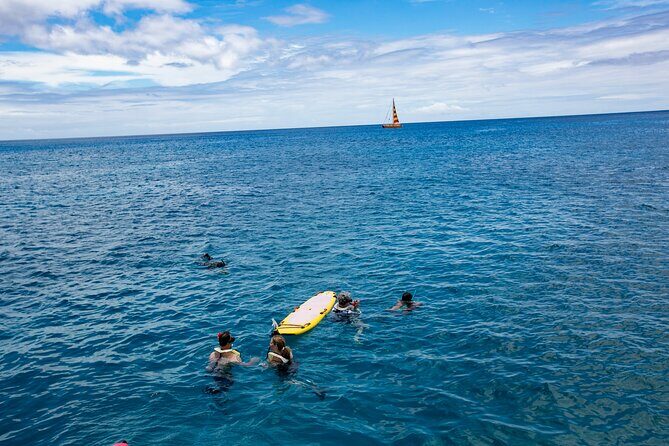 Hilton Hawaiian Village Turtle Snorkel with Optional Lunch - Price and value: is $156.79 a good deal?