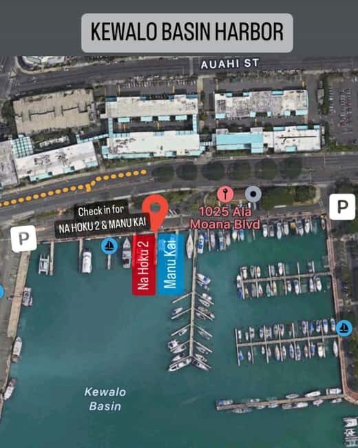 Honolulu: 1-Hour Friday Night Fireworks Cruise with Drinks - Who this is best for (and who should skip)