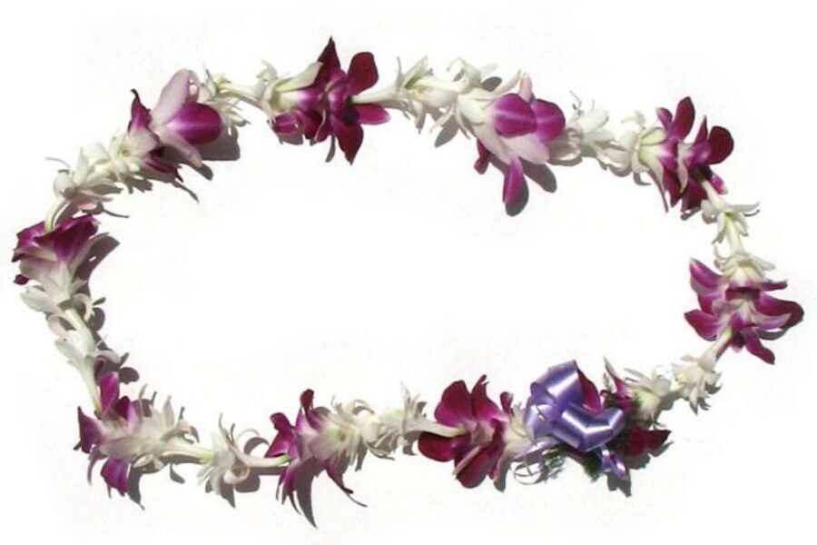 Honolulu Airport Custom Lei Greeting - Choose Your Lei - Meeting Your Greeter at HNL’s Baggage Claim (Purple Shirt Included)