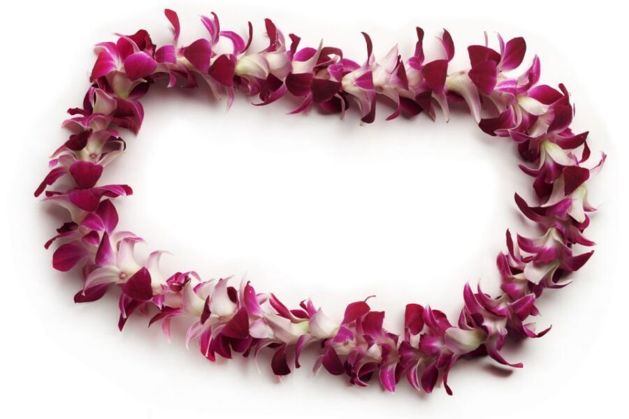 Honolulu Airport Custom Lei Greeting - Choose Your Lei - When Plans Go Sideways: Late Arrival and Lei Delivery