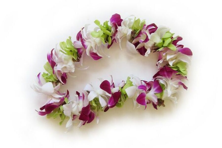 Honolulu Airport Custom Lei Greeting - Choose Your Lei - Price and Value: Is $40 Per Person Worth It?