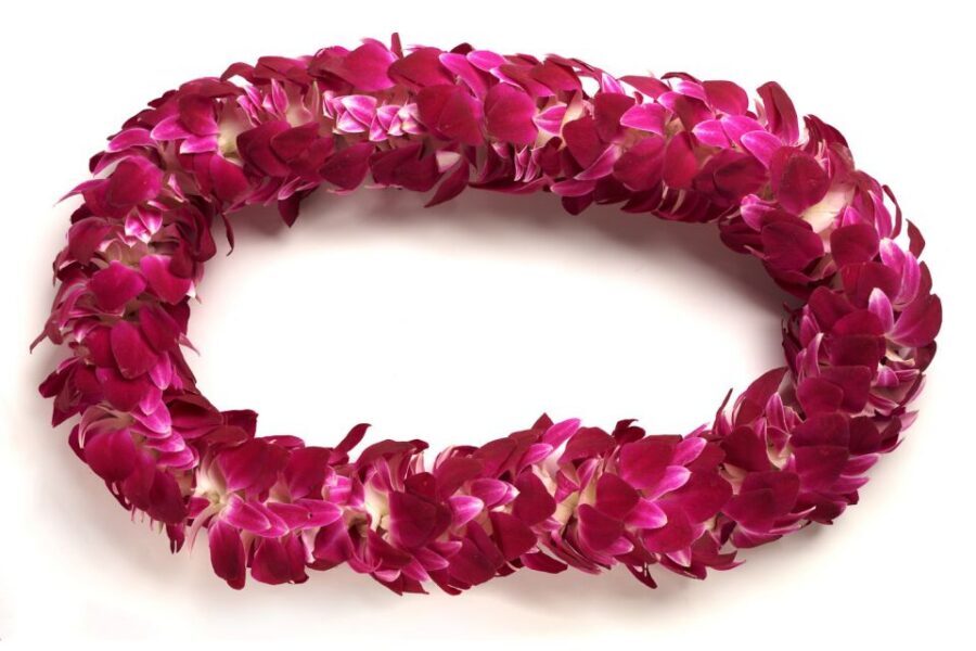 Honolulu Airport Custom Lei Greeting - Choose Your Lei - Practical Tips to Make the Greeting Effortless