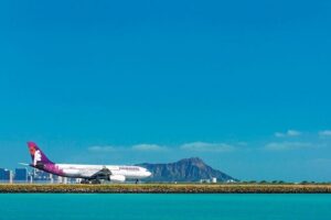 Honolulu Airport & Waikiki Hotels Private Transfer by Minivan (up to 5 people) - Flight-Tracking and Communication That Keeps You Calm