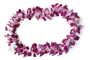 Honolulu Airport: Waikiki Private Transfer With Lei Greeting - Meeting your driver: the text message and name-sign system