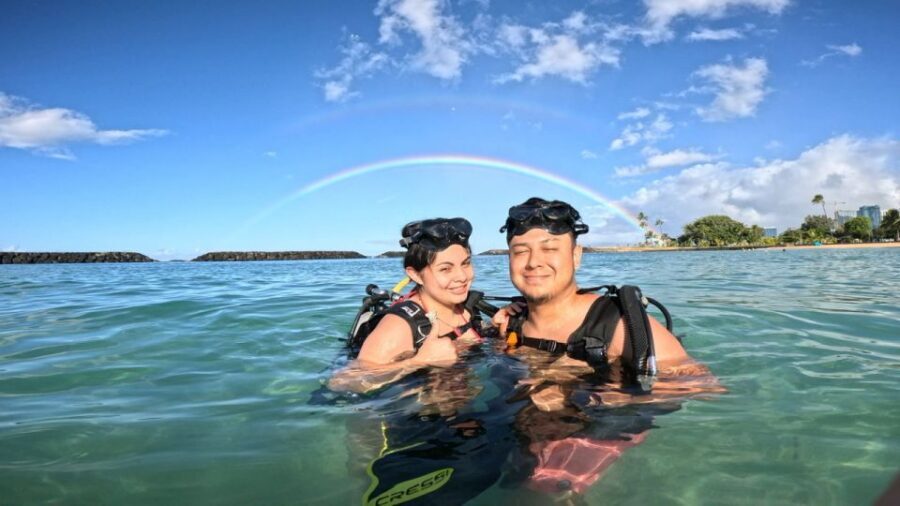 Honolulu: Beginner Scuba Diving Tour With Free Videos - Underwater Time in the Lagoon: What You’ll See in About 20 Minutes
