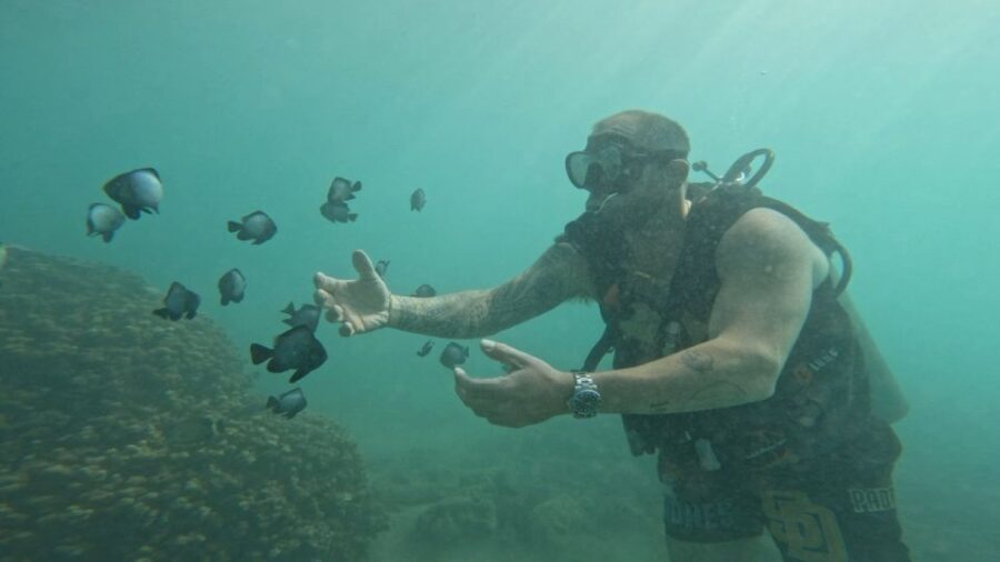 Honolulu: Beginner Scuba Diving Tour With Free Videos - The Free Video Package: A Nice Way to Remember the Day