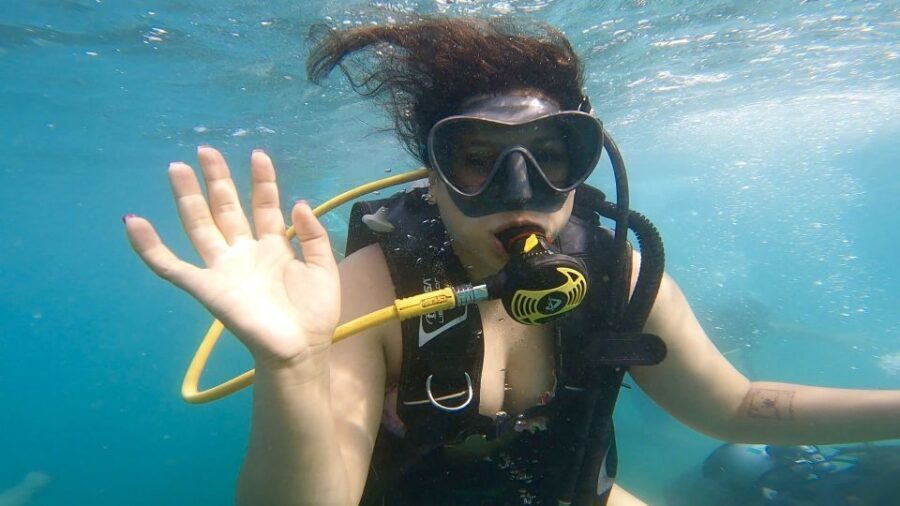 Honolulu: Beginner Scuba Diving Tour With Free Videos - Price, Value, and What You’re Actually Paying For