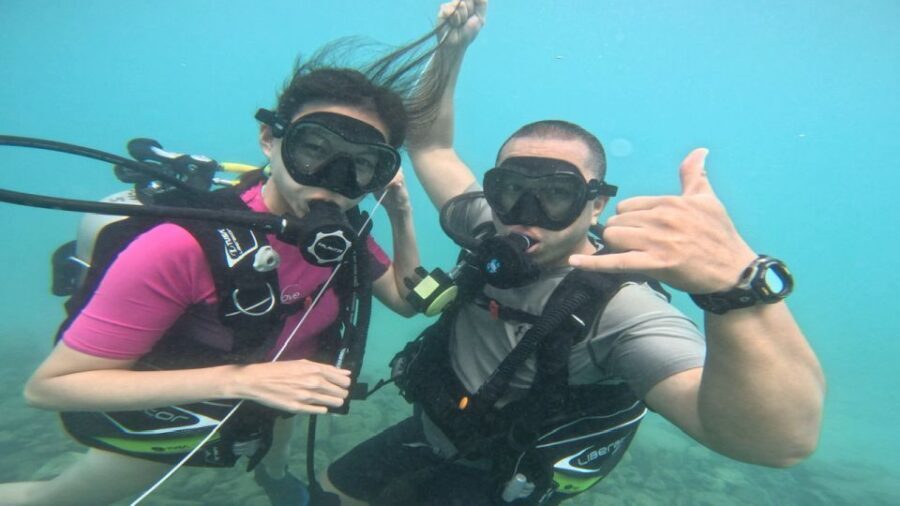 Honolulu: Beginner Scuba Diving Tour With Free Videos - Getting There From Waikiki: The Magic Island Park Meeting Point
