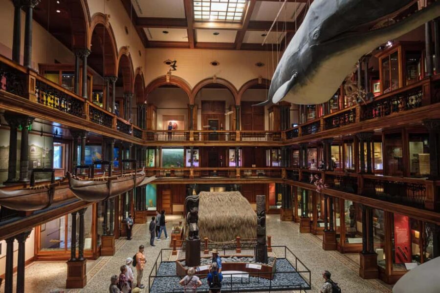 Honolulu: Bishop Museum General Admission Ticket - What Your General Admission Ticket Really Covers