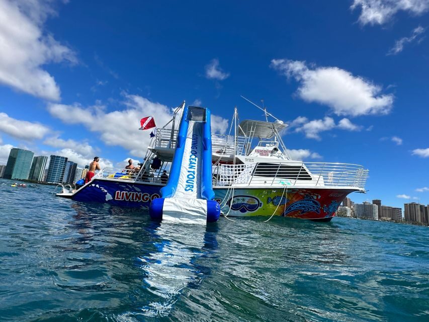 Honolulu: Deluxe Waikiki Snorkel and Wildlife Cruise - Key Points at a Glance