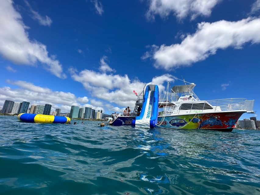 Honolulu: Deluxe Waikiki Snorkel and Wildlife Cruise - Waikiki Beach Stop: 1.5 Hours of Swimming and Snorkeling