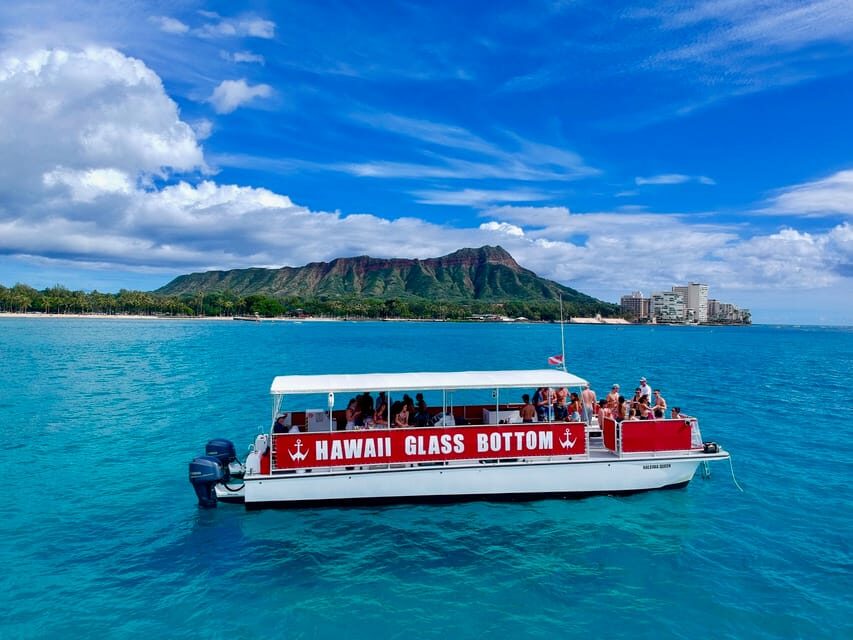 Honolulu: Glass Bottom Boat Tour along Oahu's South Shore - What you can actually see: turtles, dolphins, and the cast of Honolulu’s coast