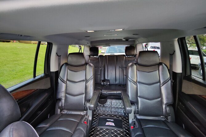 Honolulu Harbor Cruise Terminal Transfer by Luxury Vehicle - Who This Transfer Is Best For (and Who Might Skip It)