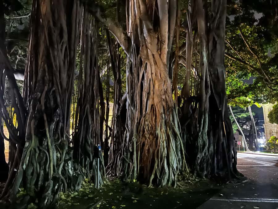 Honolulu Haunts: Ghosts and Spirits Walking Tour - Stop 3: Atlas Insurance and how modern buildings can carry old stories