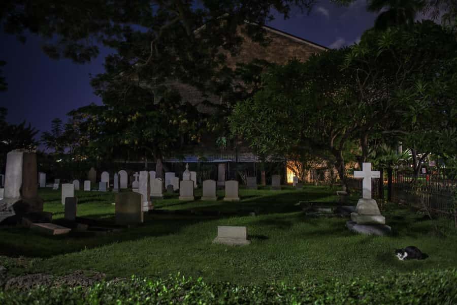 Honolulu Haunts: Ghosts and Spirits Walking Tour - How scary is it, really? (And why the guide matters)