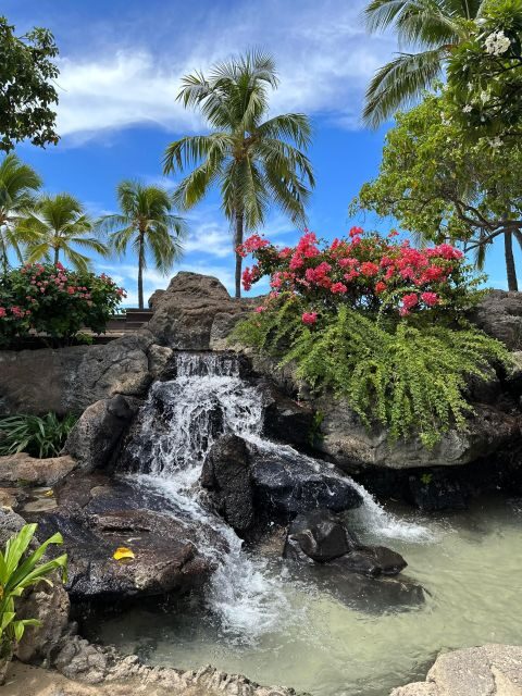 Honolulu: Highlights of Oahu Small Group Tour - North Shore Reality Check: Pipeline, Sunset, Waimea, and Eddie Aikau