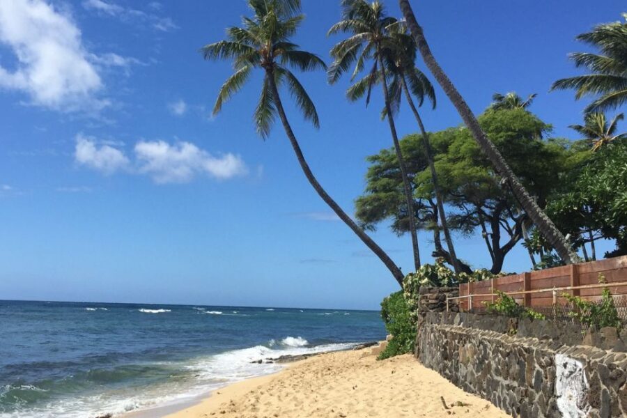 Honolulu: Highlights of Oahu Small Group Tour - Kualoa Area Stops, Polynesian Cultural Center, and Laie Temple