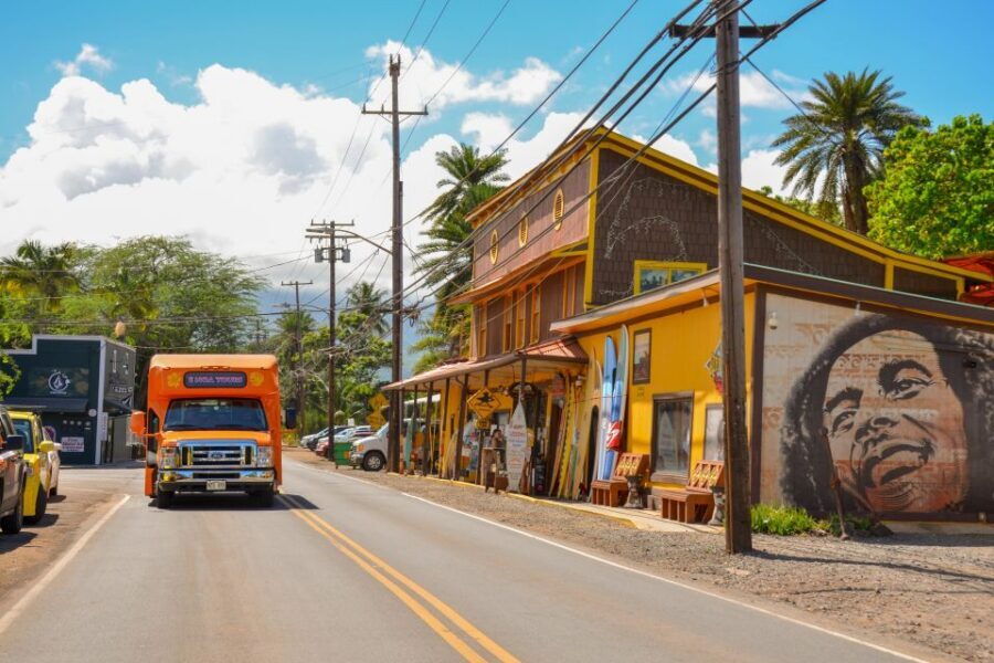 Honolulu: Oahu Island Full-Day Guided Tour by Bus with Lunch - Dole Plantation: the classic stop with the possible add-on bill