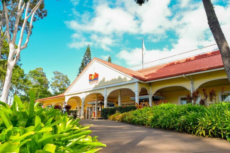 Honolulu: Oahu Island Full-Day Guided Tour by Bus with Lunch - Lunch and bottled water: how the tour keeps you from fading