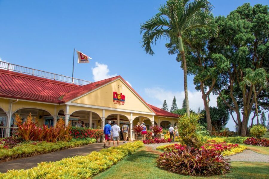 Honolulu: Oahu Sights and Bites Circle Island Foodie Tour - Who This Tour Fits Best (and Who Might Prefer Something Else)