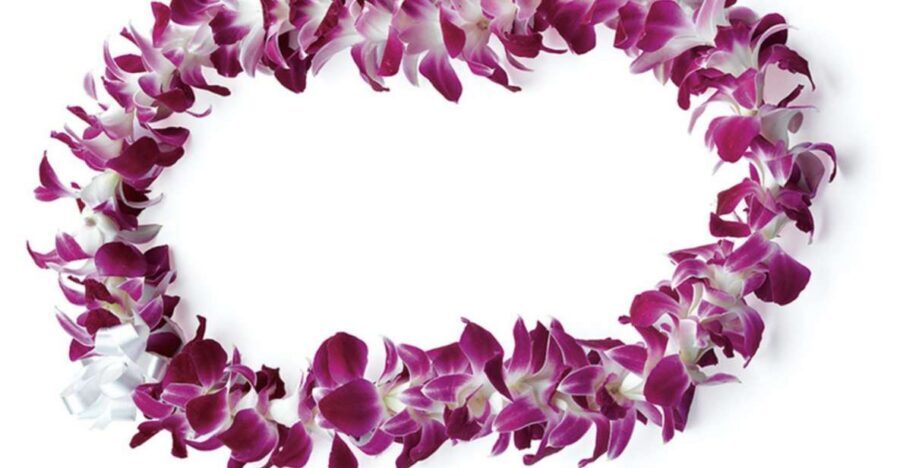 Honolulu: Private Airport Transfer with Arrival Lei Greeting - Getting the text before you land