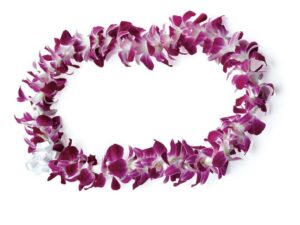 Honolulu: Private Airport Transfer with Arrival Lei Greeting - Meeting your driver at Honolulu International without the taxi scramble