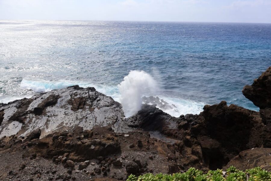 Honolulu: Stunning Views of Oahu! Half-day Scenic Tour - Hotel pickup and drop-off: the real convenience tax