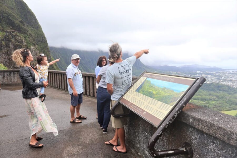 Honolulu: Stunning Views of Oahu! Half-day Scenic Tour - Pro DSLR photos, not selfie chaos