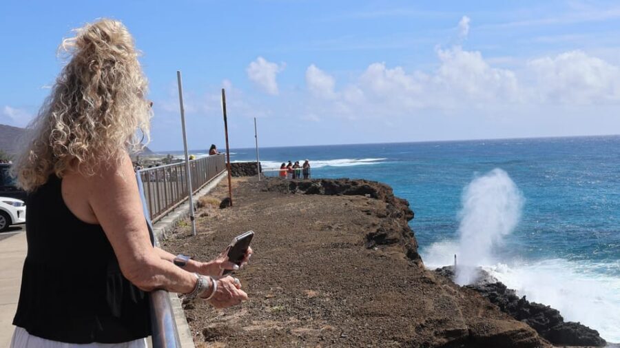 Honolulu: Stunning Views of Oahu! Half-day Scenic Tour - What the stops feel like, from mountains to the final Honolulu view