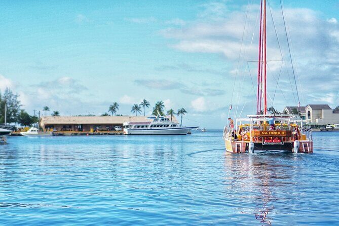 Honolulu Sunset Sail from Kewalo Harbor Including Drinks - Should You Book This Sunset Sail from Kewalo Harbor?