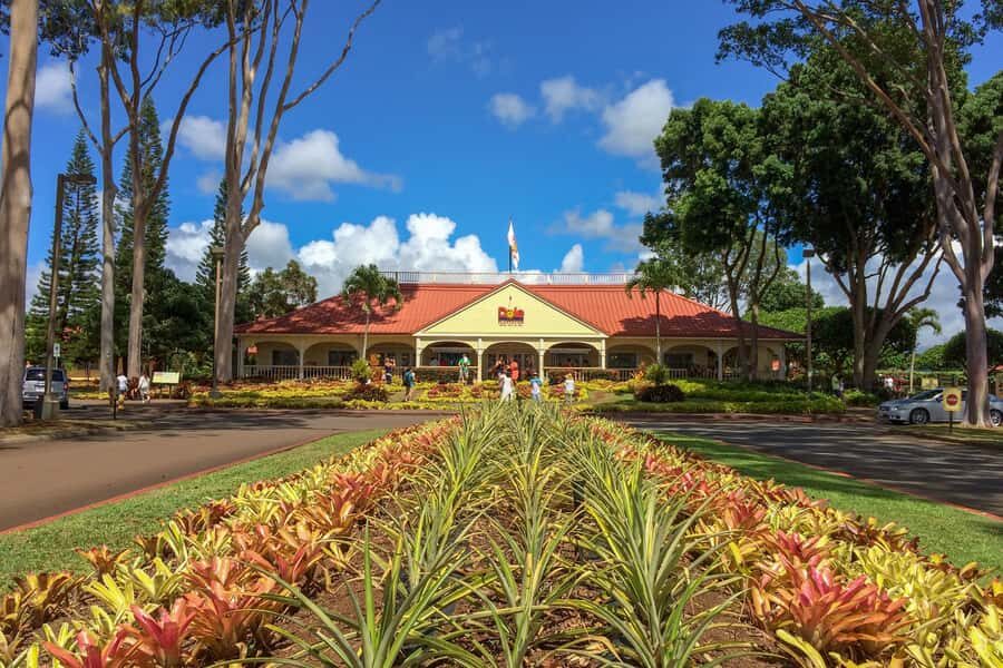 Honolulu: Ultimate Pearl Harbor and Circle Island Tour - Key highlights worth planning around