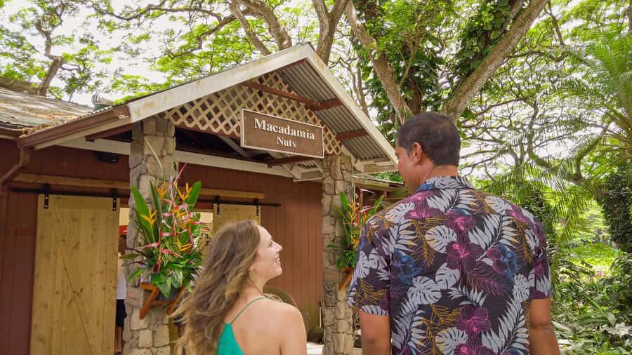 Honolulu: Ultimate Pearl Harbor and Circle Island Tour - Timing, transport, and what to pack for a 10-hour day